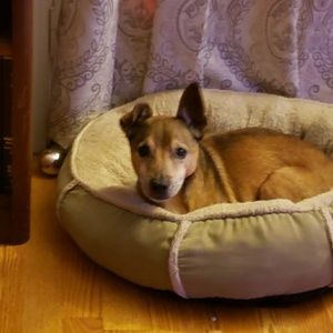 Meet your Posher, Lydia